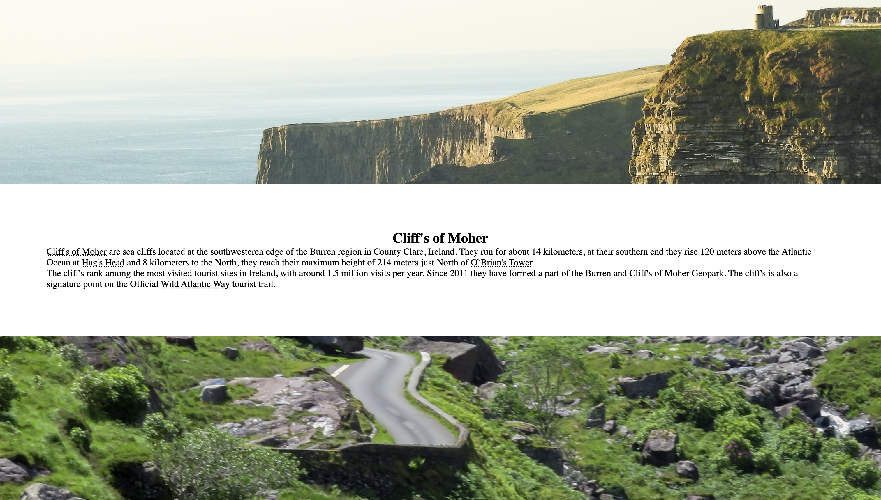 Preview of liked parallax site